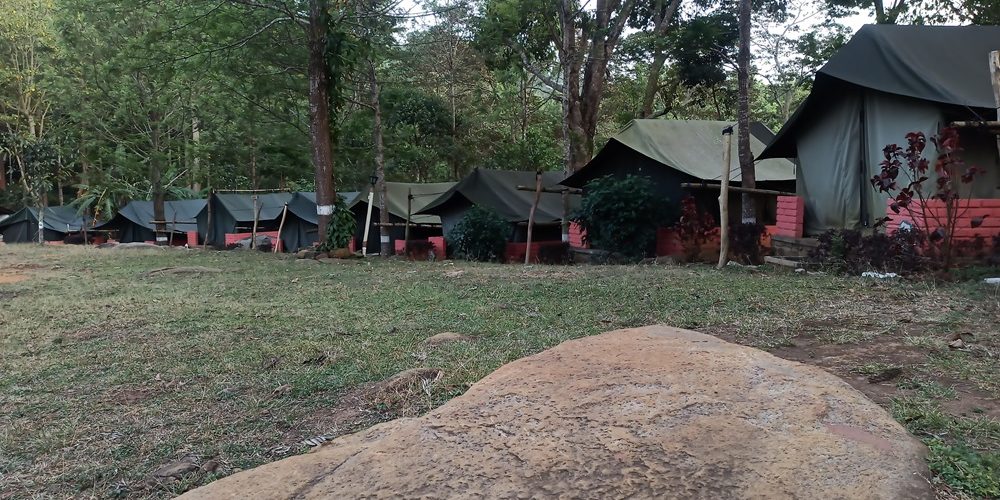 Yercaud 2
